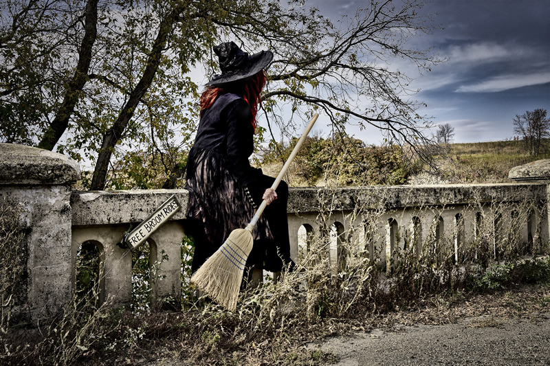 Free Broom Rides by Darlene Perkin